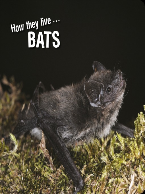 Title details for How they live... Bats by David Withrington - Available